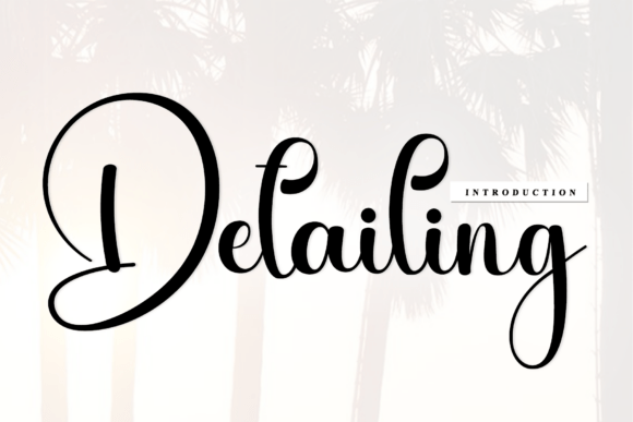 Detailing Script Font for Handmade Creations