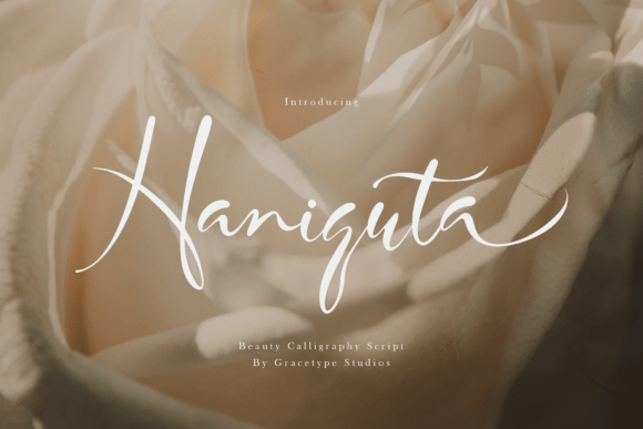Haniquta Font for Professional Branding