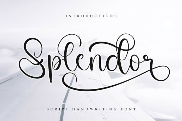 Splendor Script Font for Branding Projects