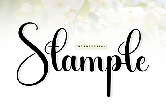 Stample: A Script Font for Modern Branding and Creative Projects