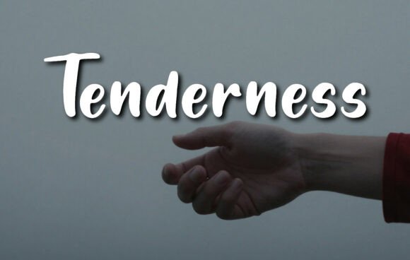 Tenderness Font Review for Campaign Design
